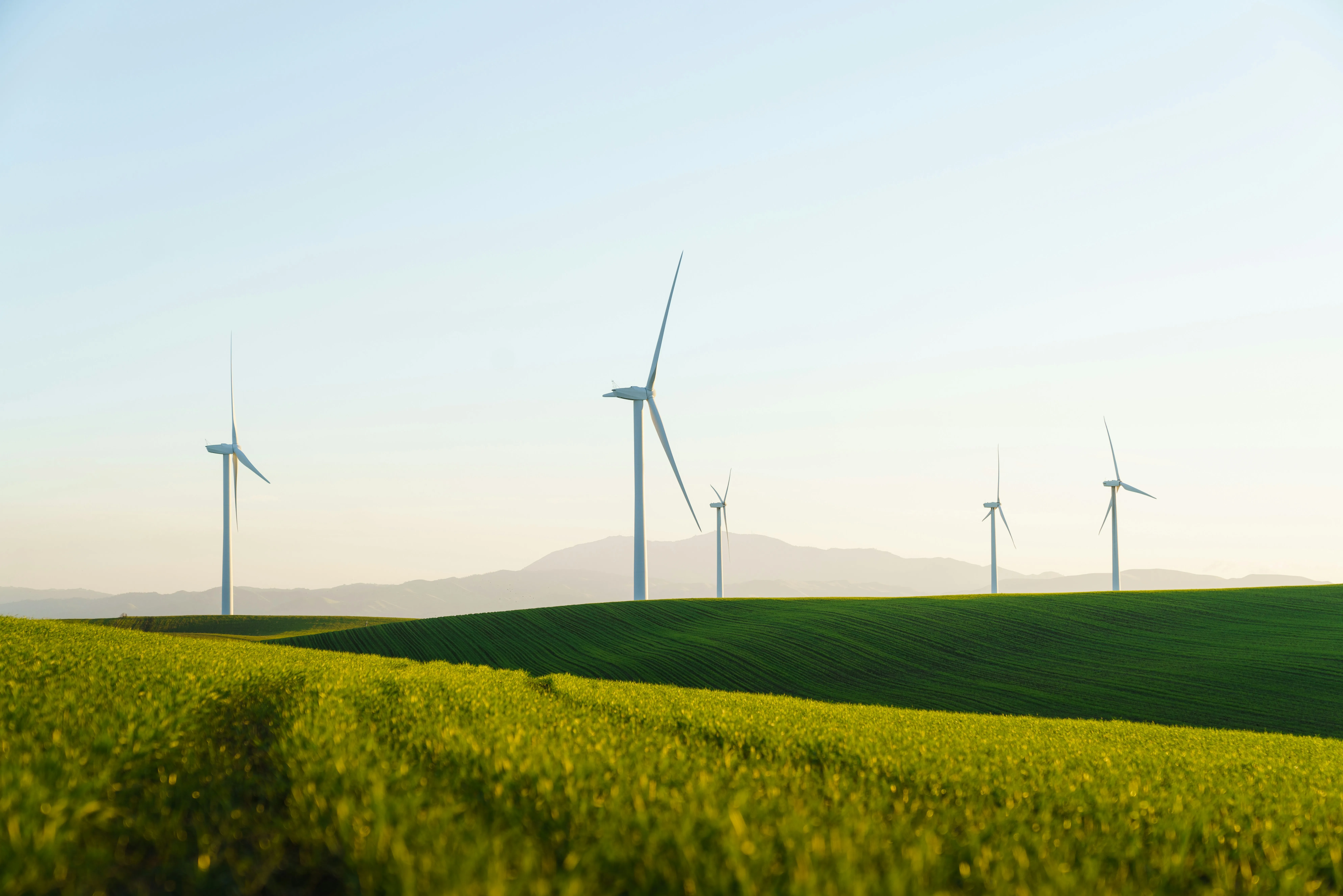 Kiri Industries Sustainability
